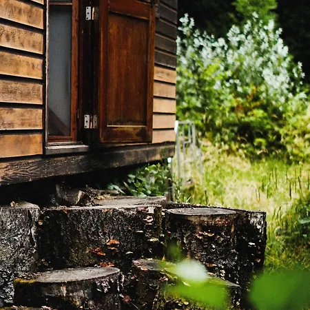 Tinyhouse Forrest *